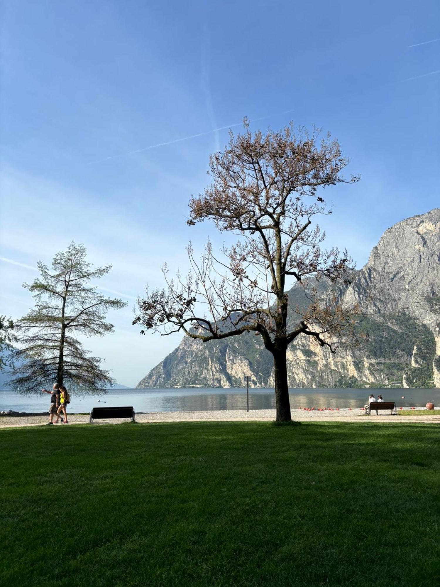 Garden & Pool Perugini Apartment Torbole Sul Garda Ngoại thất bức ảnh